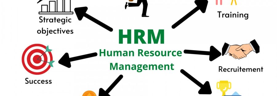 Best Payroll Outsourcing Services in Nairobi, Kenya